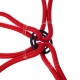 Gumowe pasy mocujące/gumki pająk CARGO CORD SPIDER BASIC 80, 80 cm, 8 ramion
