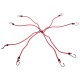 Gumowe pasy mocujące/gumki pająk CARGO CORD SPIDER BASIC 120, 120 cm, 8 ramion